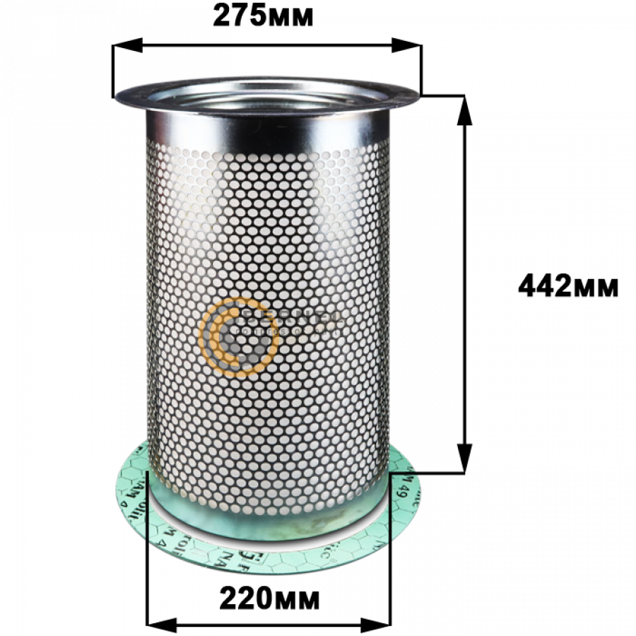 ���������, MS593