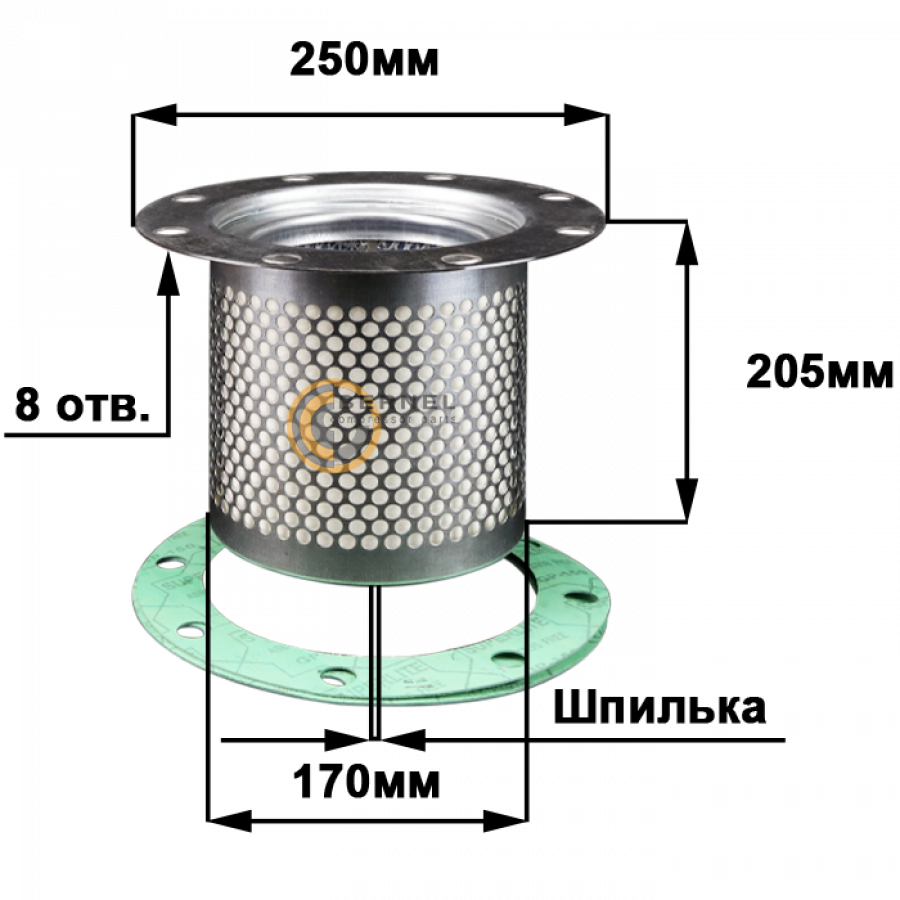 ���������, MS881