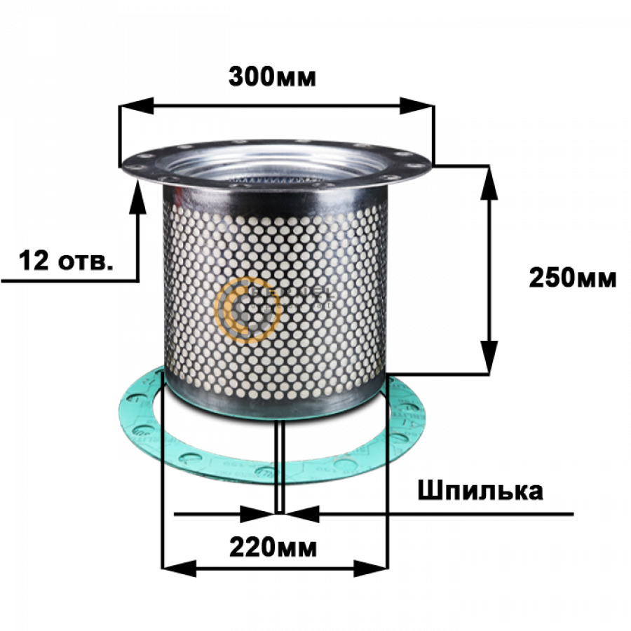 ���������, MS502