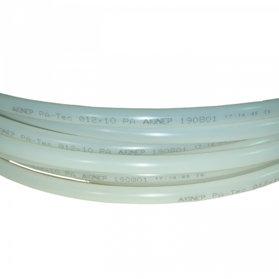 ������ 12 ��