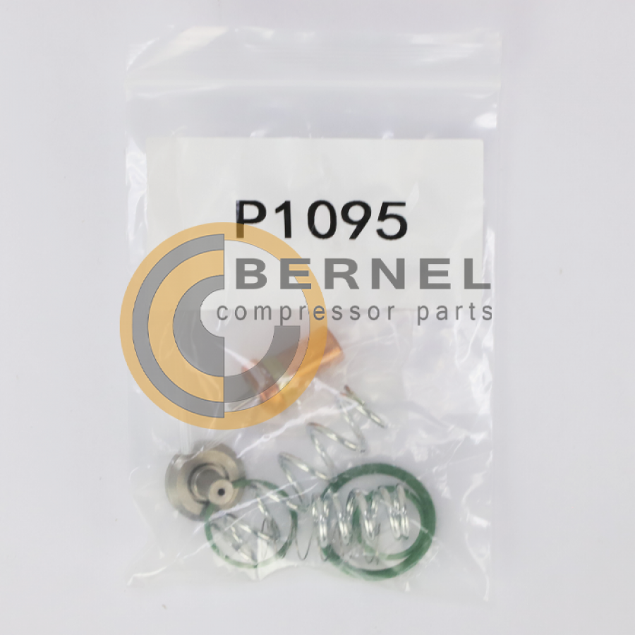 ����������� ����������� (�/� ���+���������), P1095