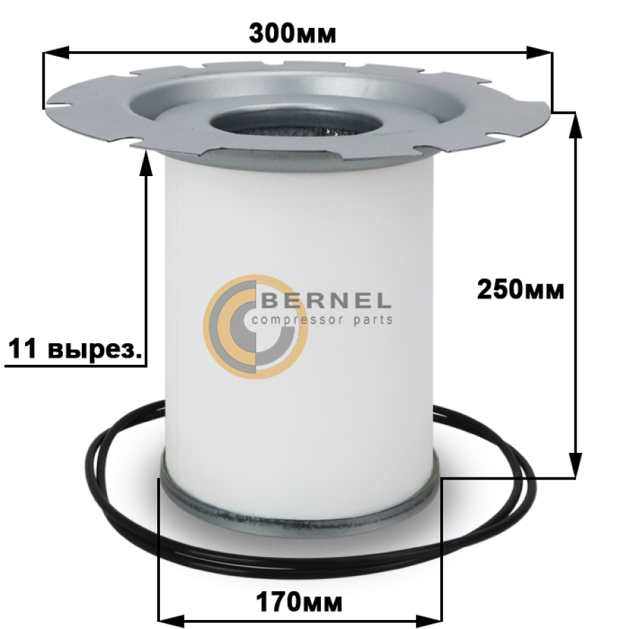 ���������, S4051