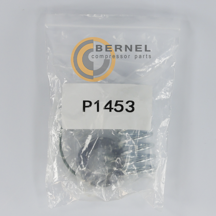 ����������� ����.���.��������, P1453