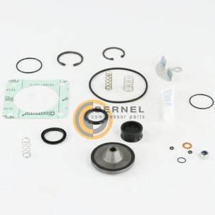 G15 UNLOADER VALVE KIT (����� ������������ �������), Original